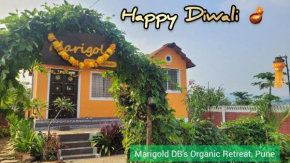 Marigold DBs Organic Retreat with Bamboo Hut